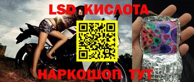 ПСИЛОЦИБИНОВЫЕ ГРИБЫ Тверь