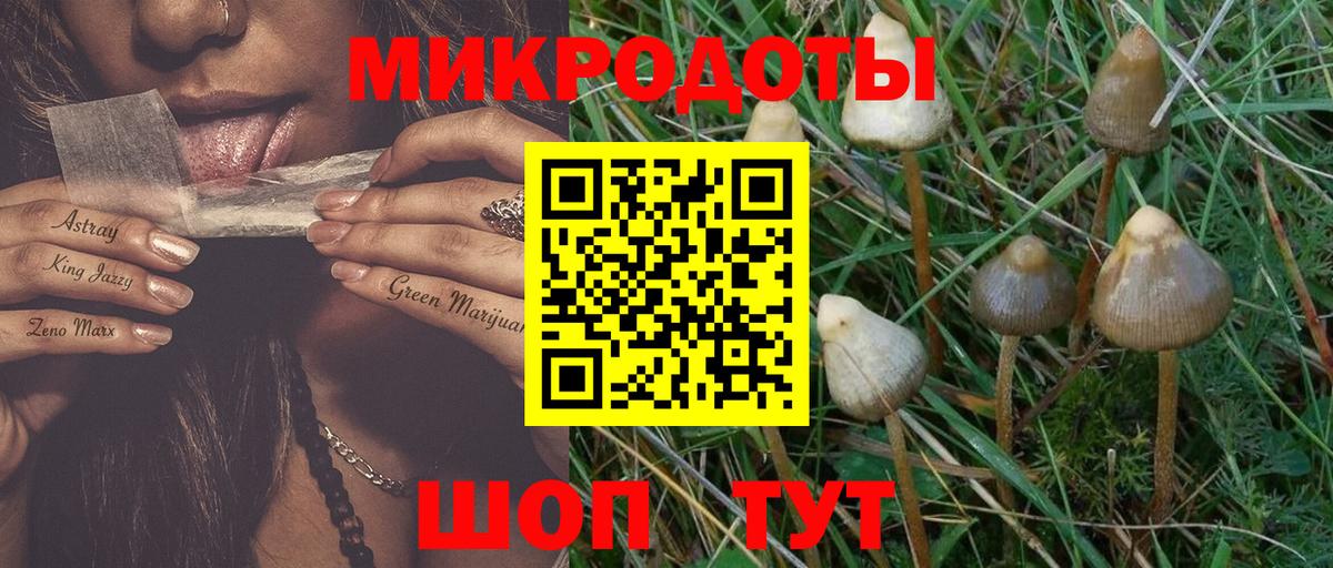 Галлюциногенные грибы MAGIC MUSHROOMS  цены наркотик  Пенза  Вход с VPN 